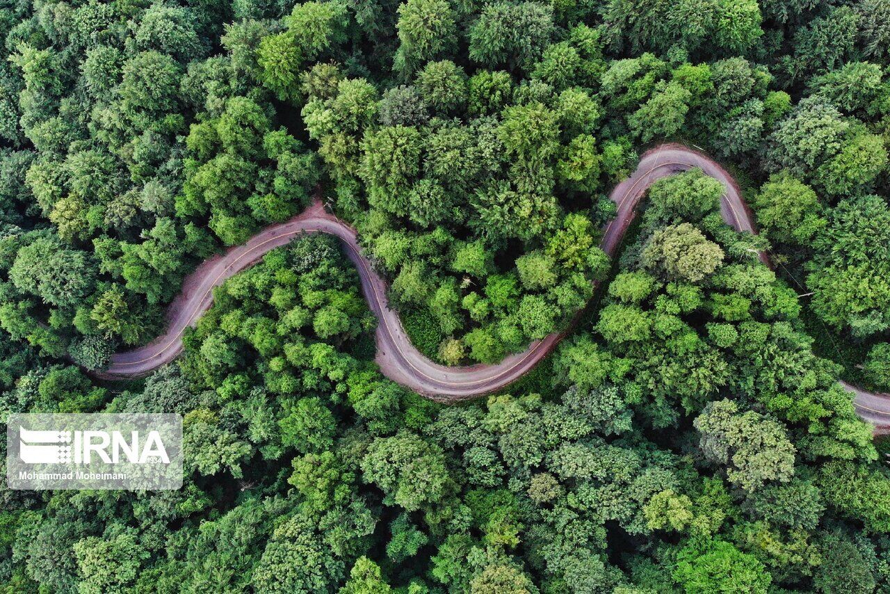 تصویر